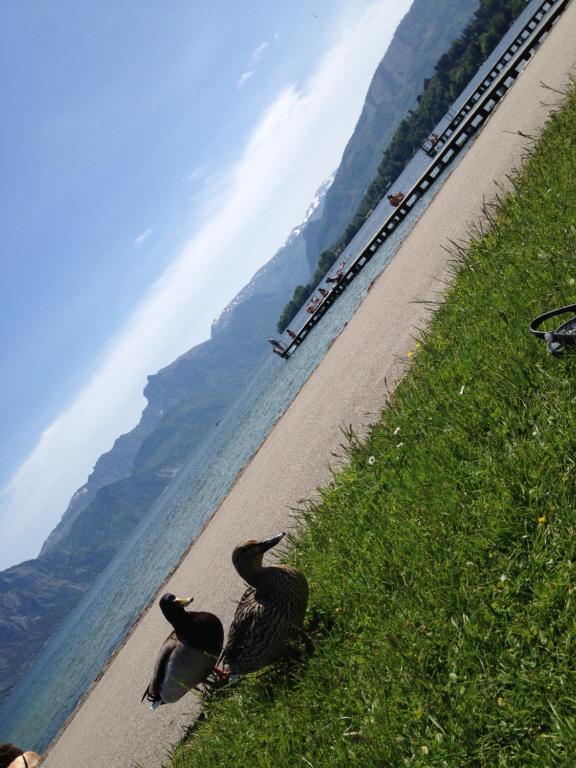 Apartment Parkvilla Traunsee Altmuenster 외부 사진