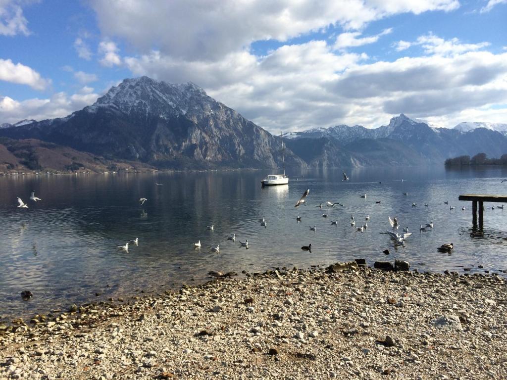 Apartment Parkvilla Traunsee Altmuenster 외부 사진