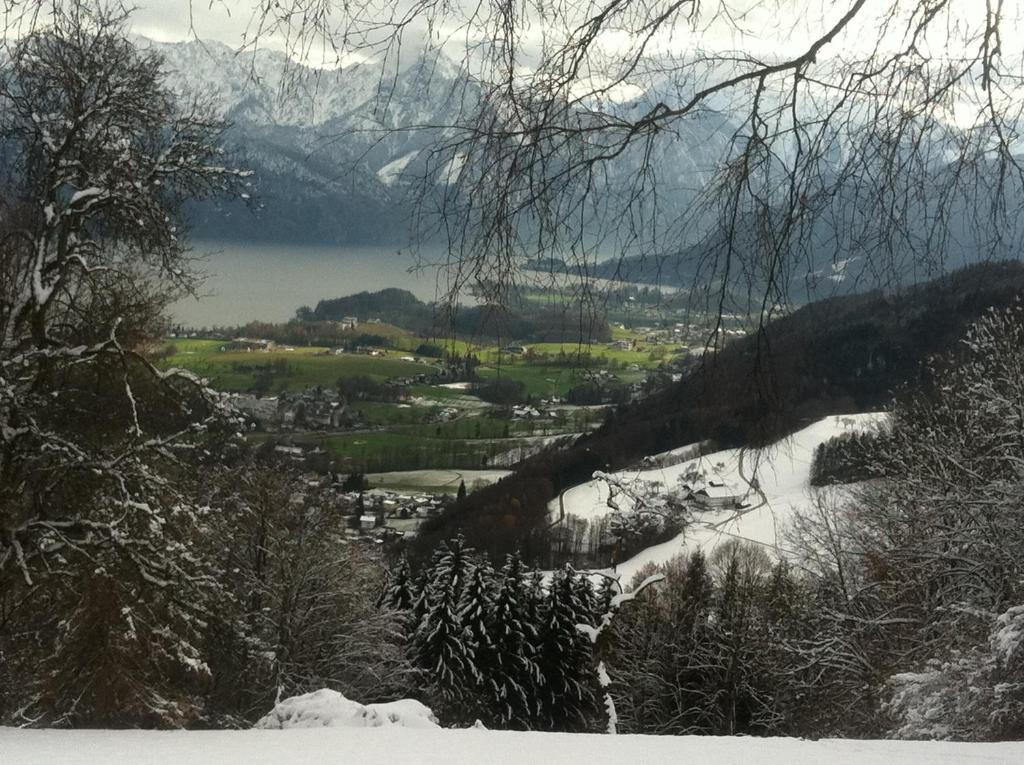 Apartment Parkvilla Traunsee Altmuenster 외부 사진